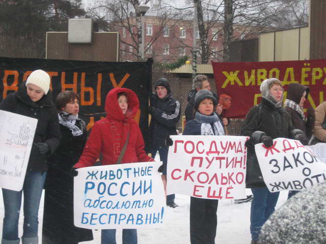 4 декабря 2008