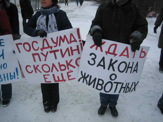 4 декабря 2008